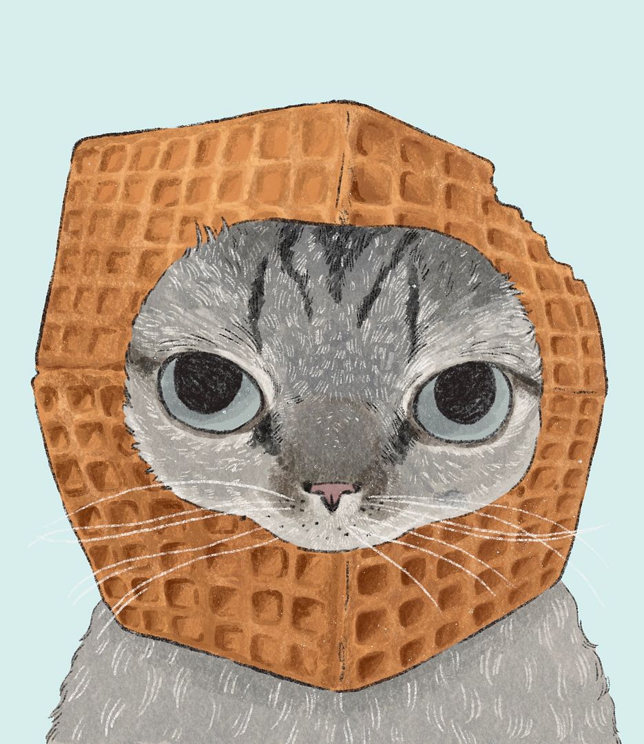 waffle cat