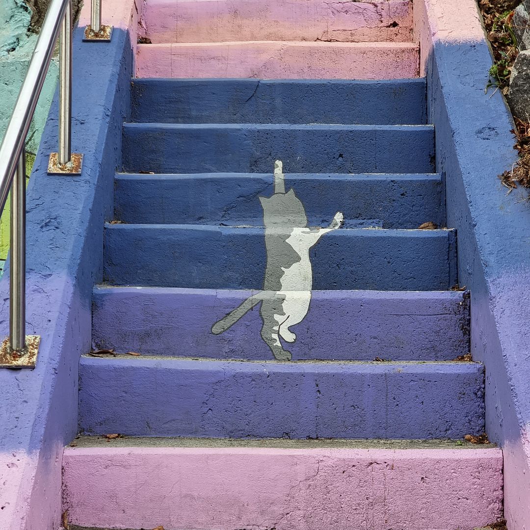 Busan Cat Staircase