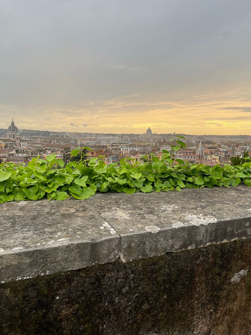 ROME; seen from Villa Medici.