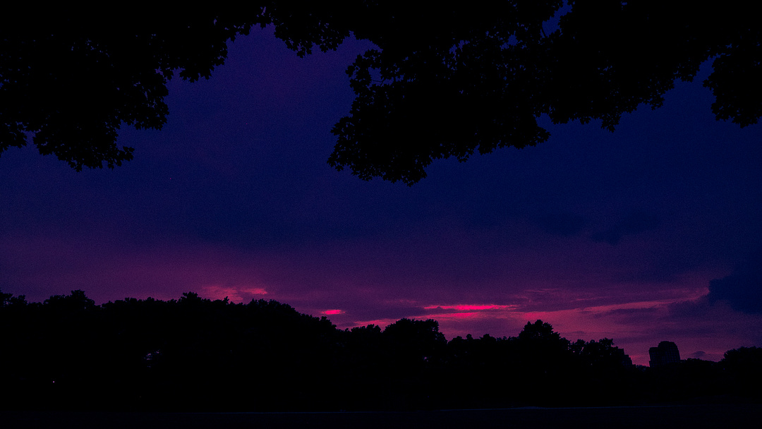 central park at dusk