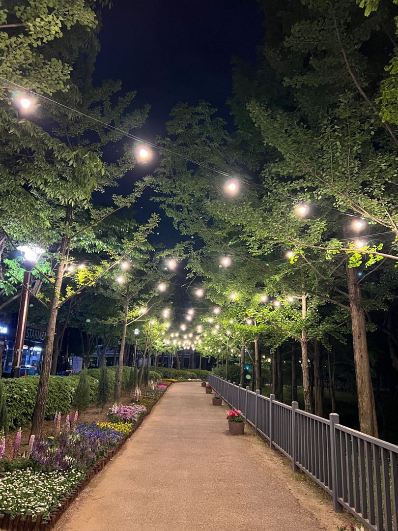 A walk in Dongbaek Lake Park on a spring evening