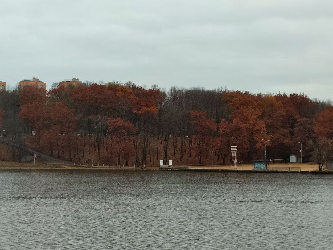 Red trees