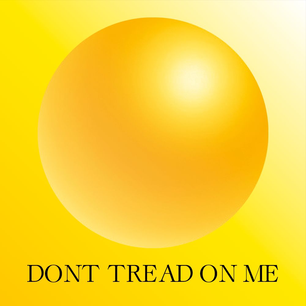 Libertarian Zorb