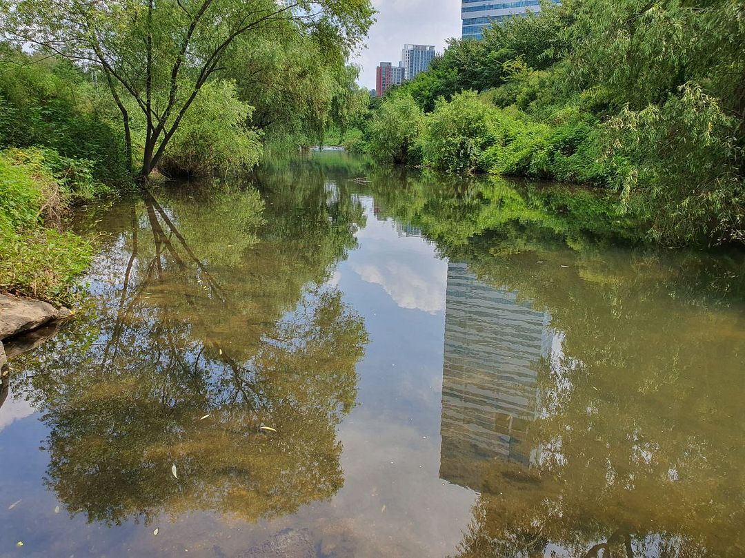 River in the City