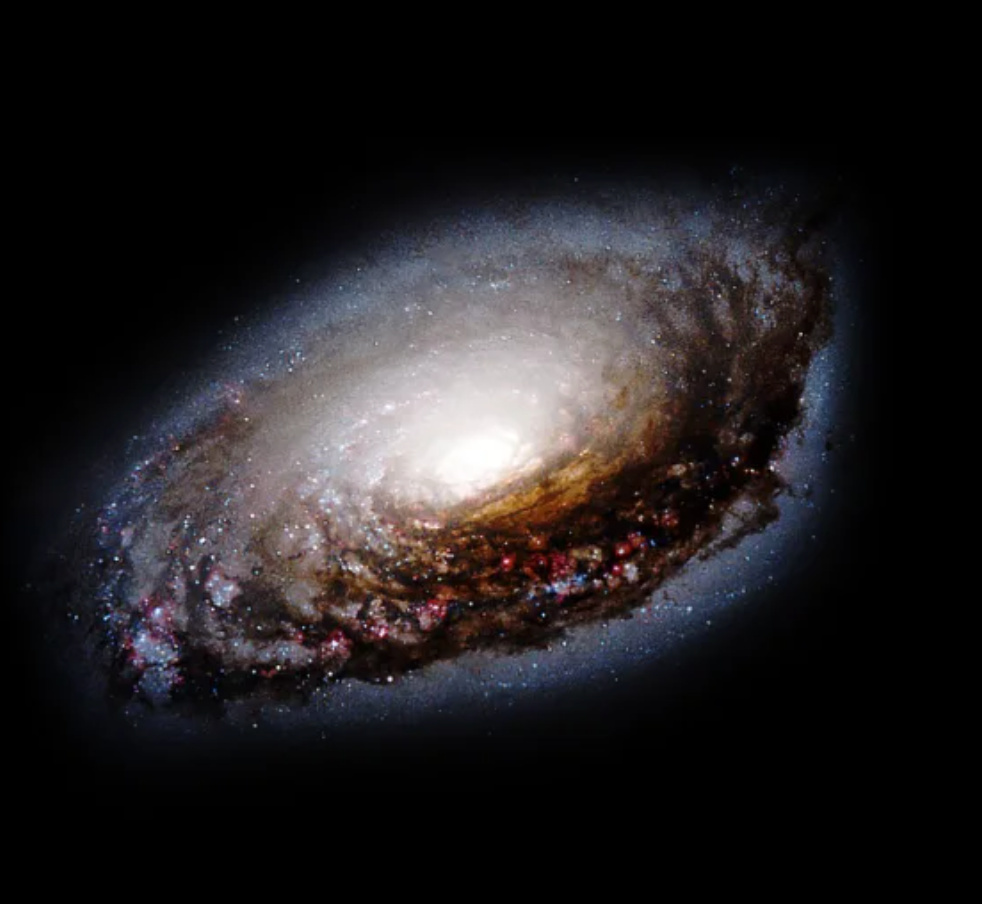 The Black Eye Galaxy