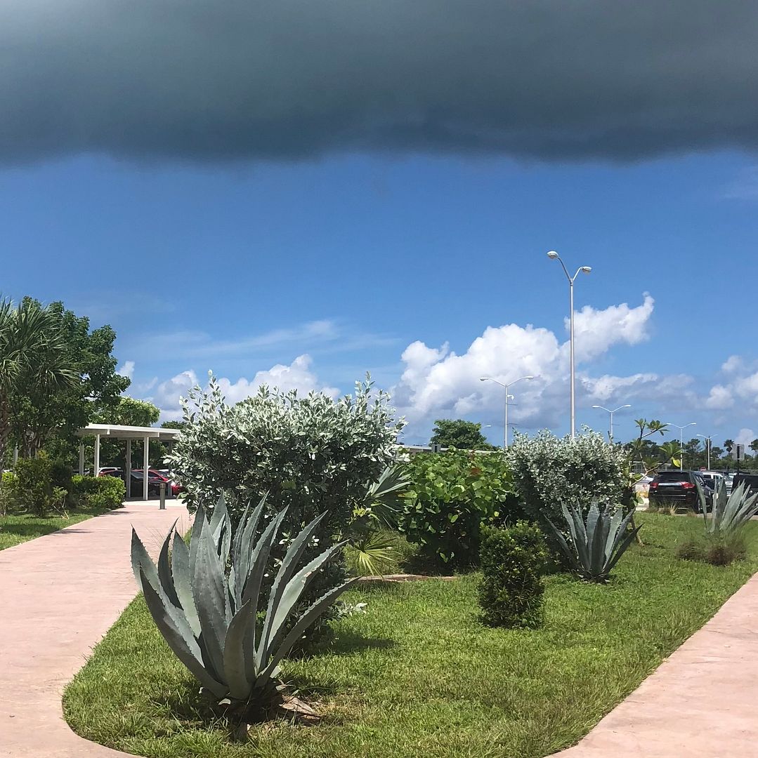 A mysterious dark cloud