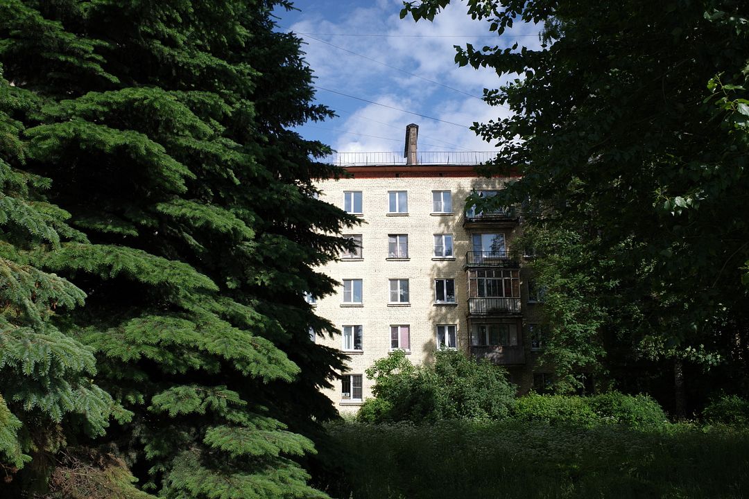 🌲🏠🌳