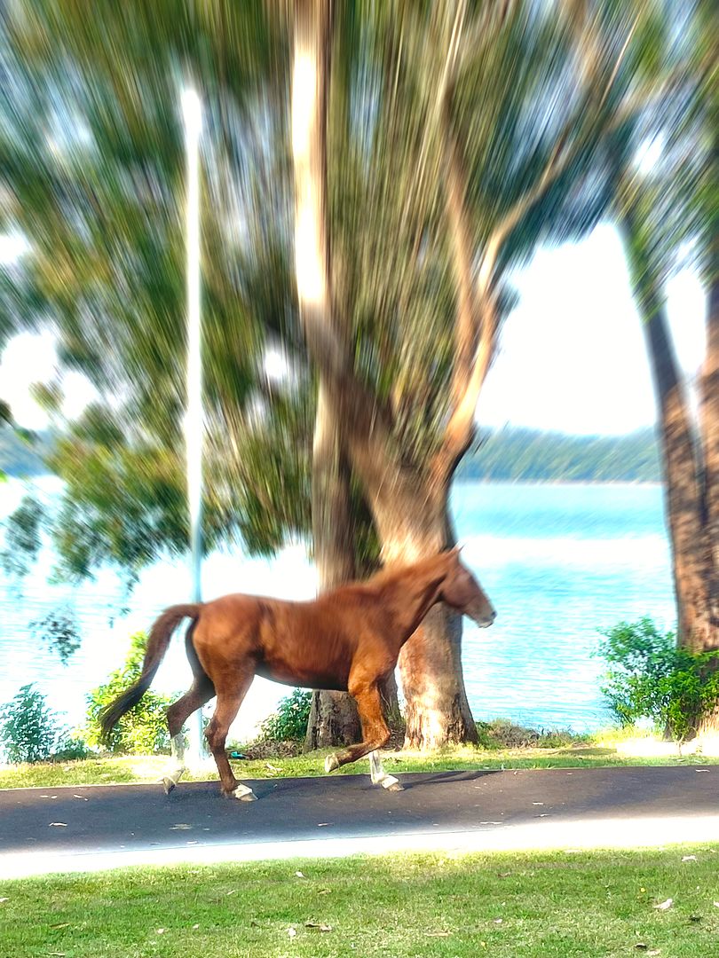 Cantinho do céu