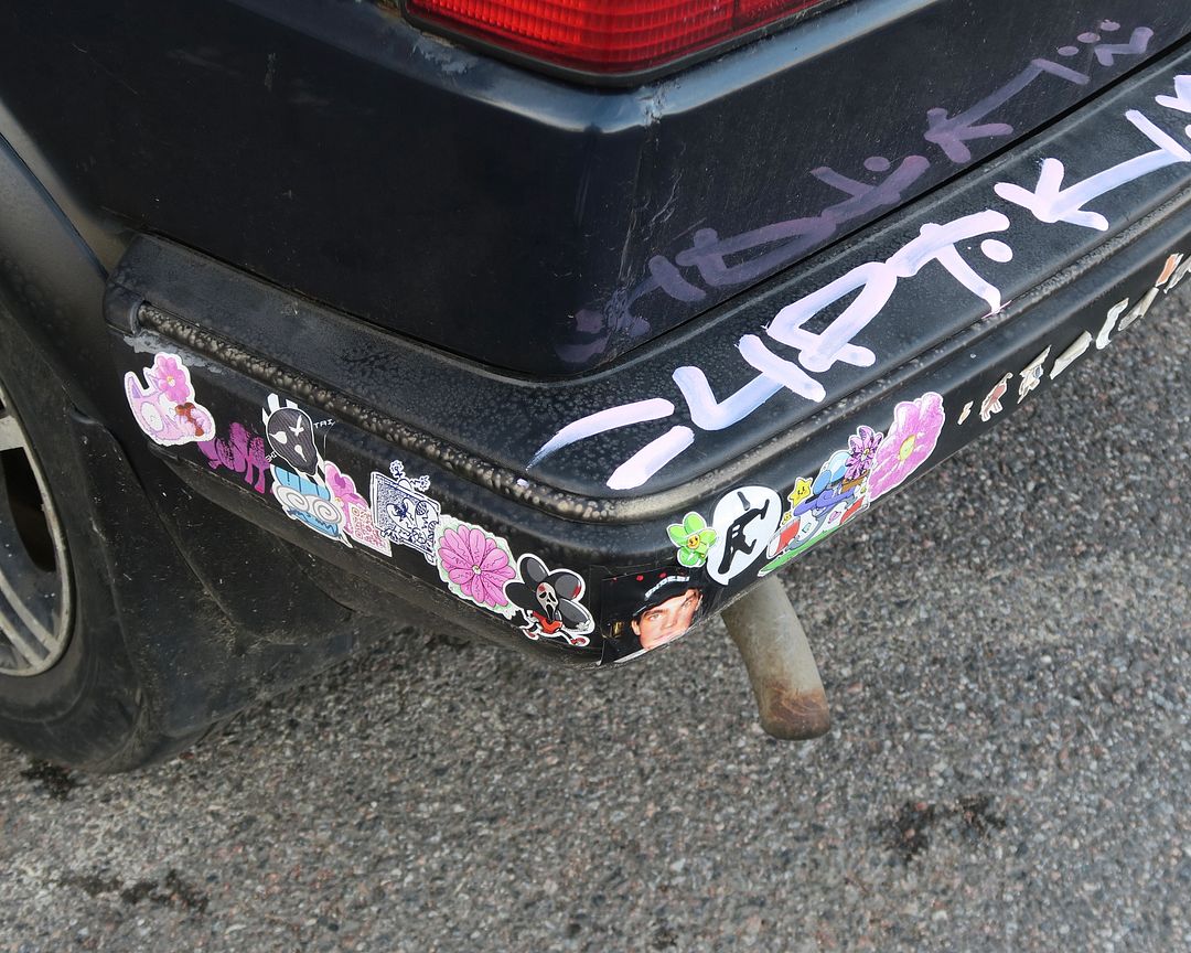 CAR IN FLOWERS