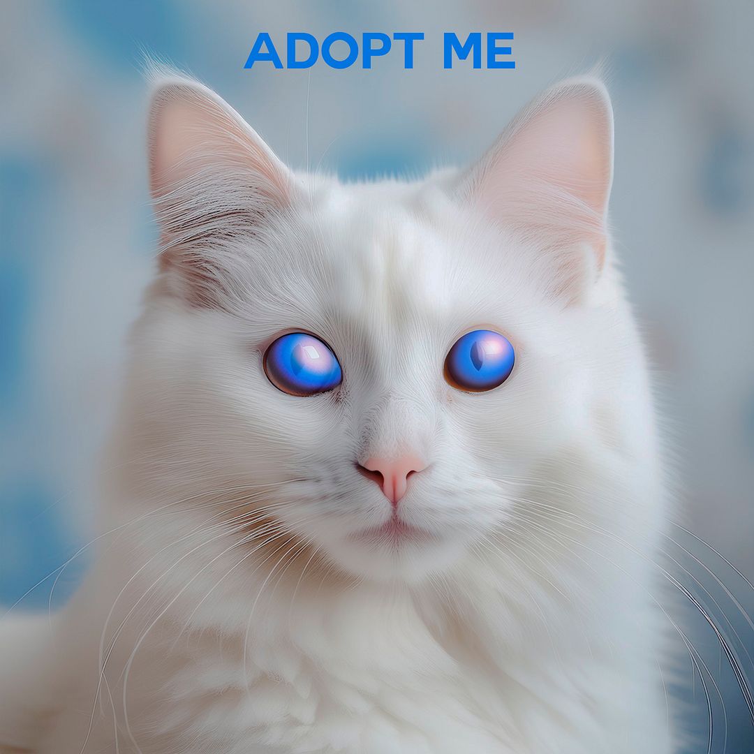 AdOpt me CAT ZORA