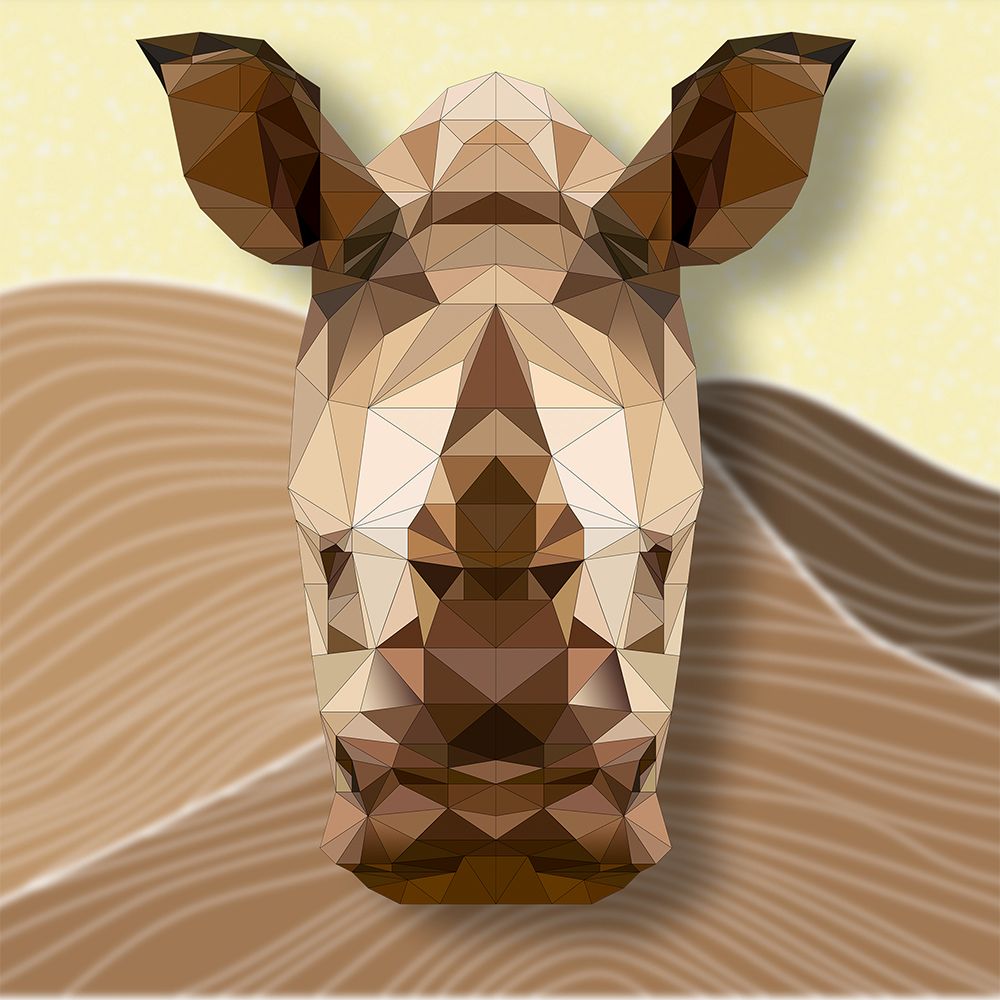 Geometric Rhinoceros