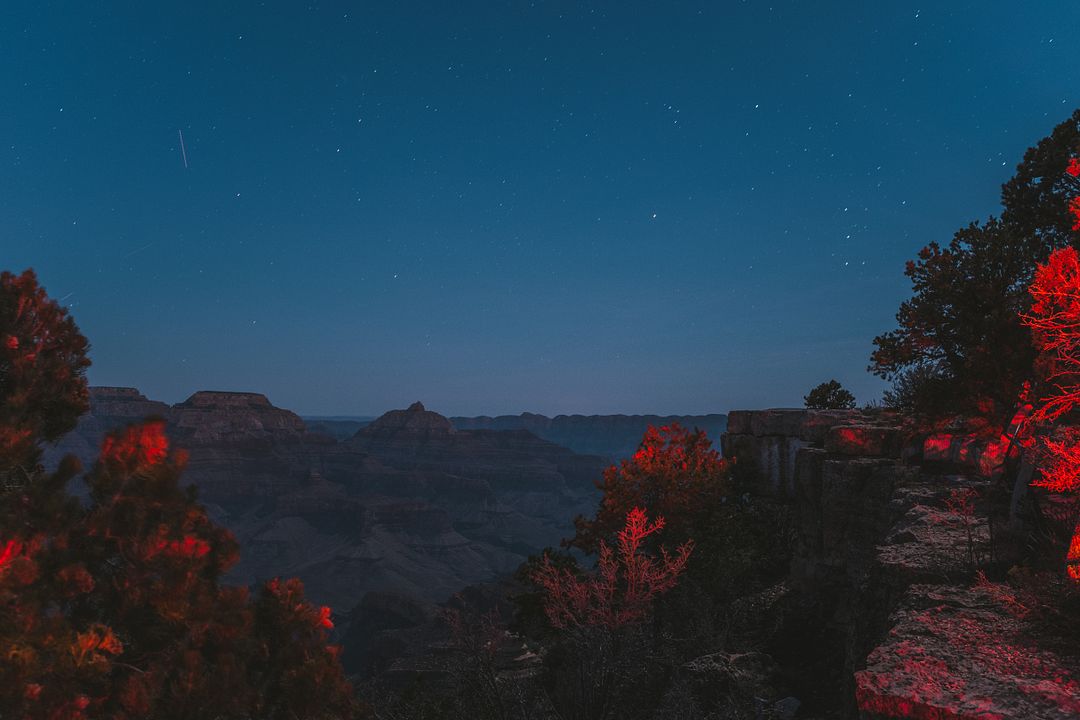 tail lights and christmas at the grand canyon, 2017