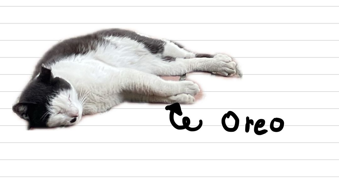 Cat_Oreo_5