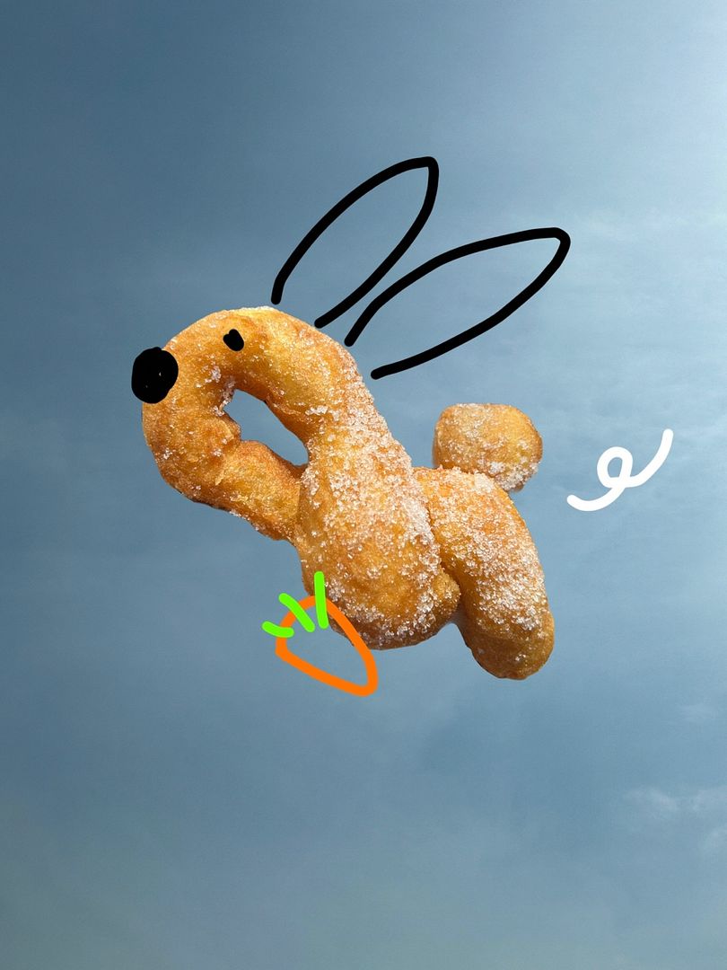 flying rabbit