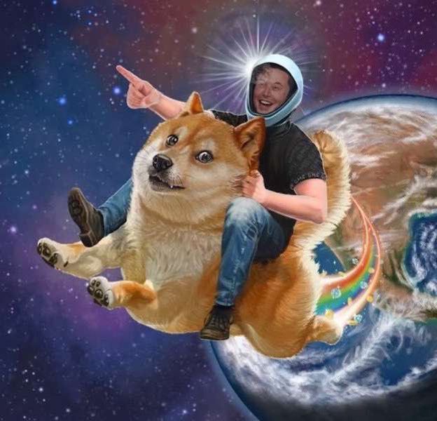 Doge to the moon !!!