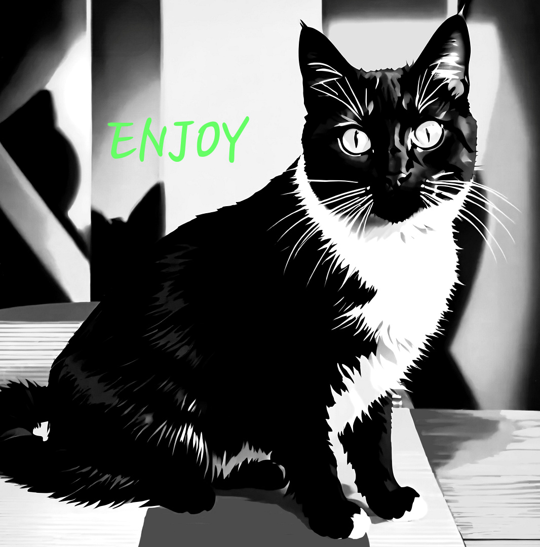 ENJOY CAT VER5.0