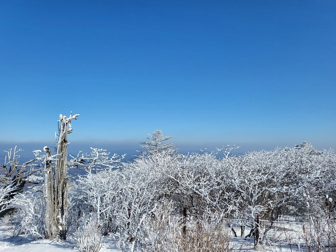 Snowy mountains and snowflakes