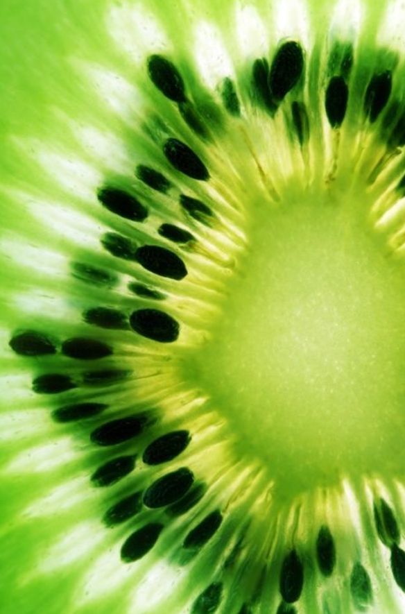 Kiwi