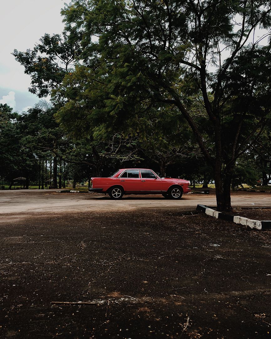 Timeless beauty parked in paradise