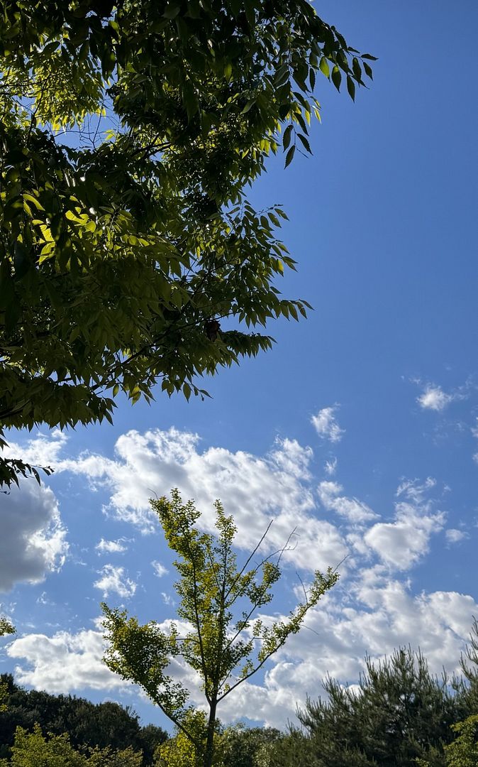 The clouds and sky are pretty today's weather