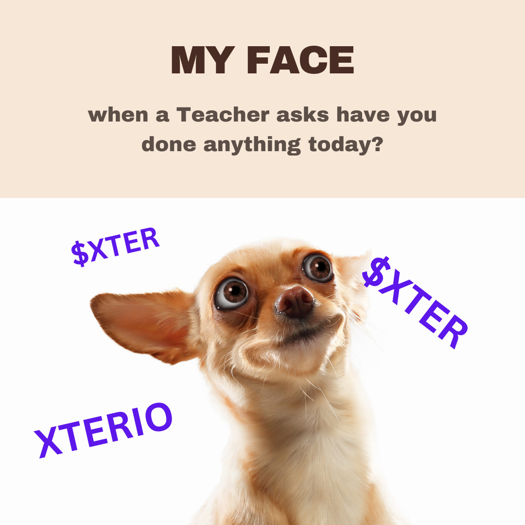 $XTER meme