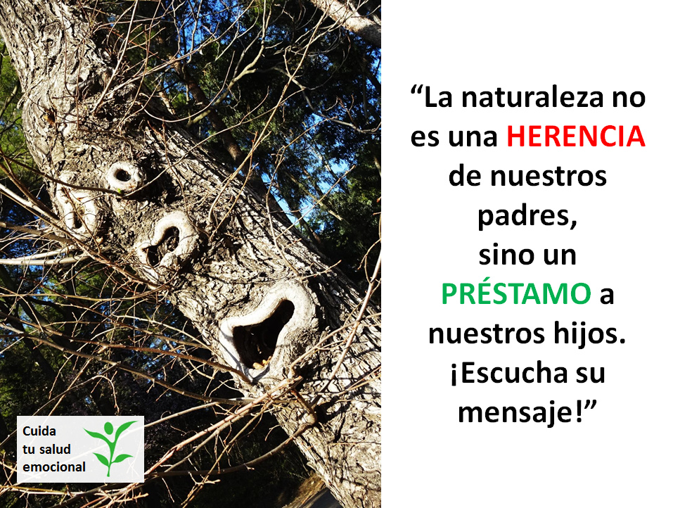 La naturaleza nos habla