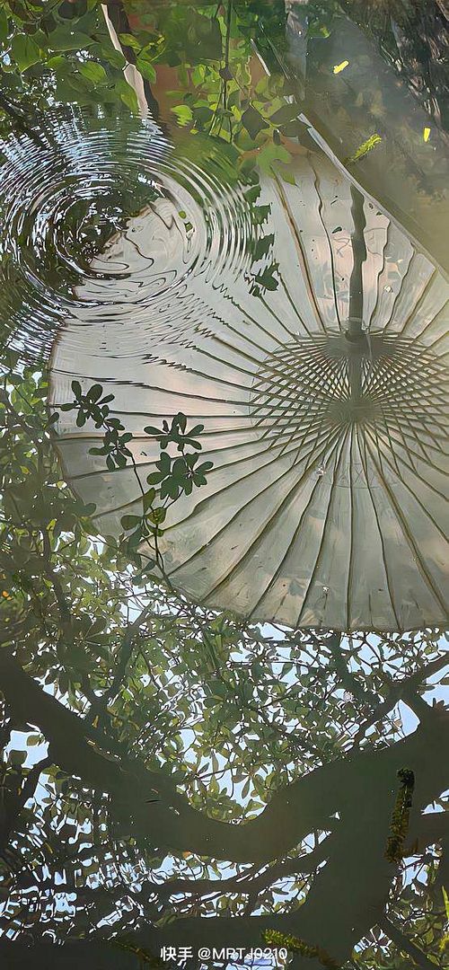 reflection of an umbrella in a puddle