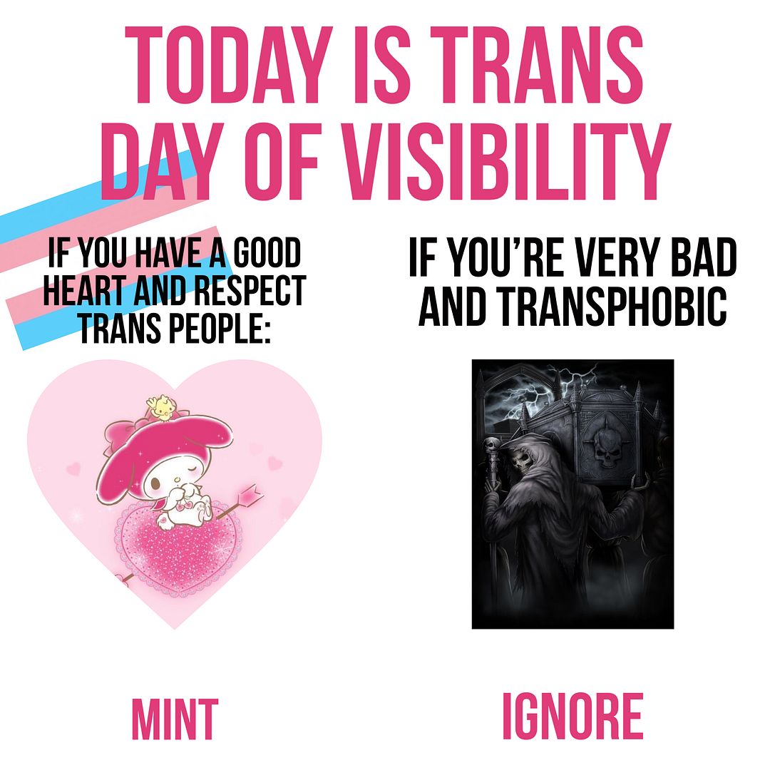 happy trans day of visibility 💗🏳️‍⚧️🌟