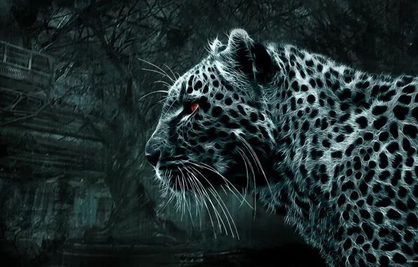 Leopard