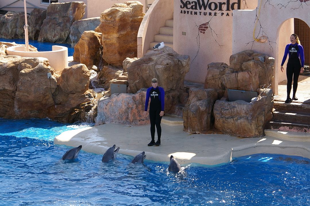 SeaWorld San Diego