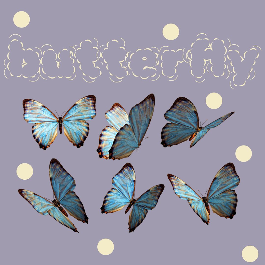 butterfly NFT