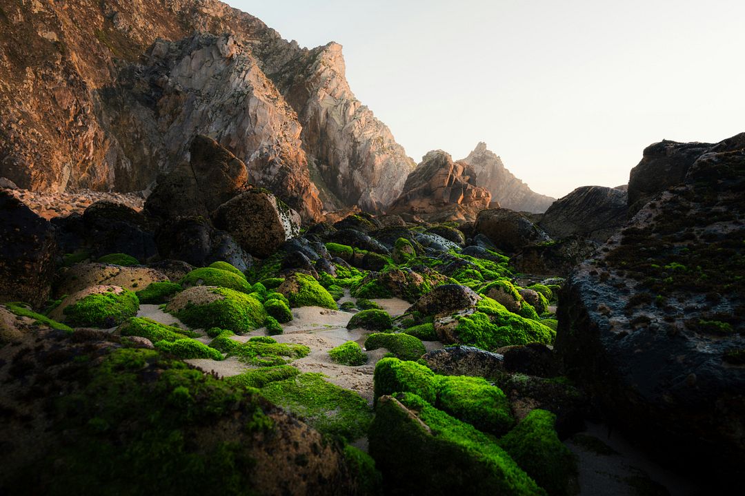 rocky beach