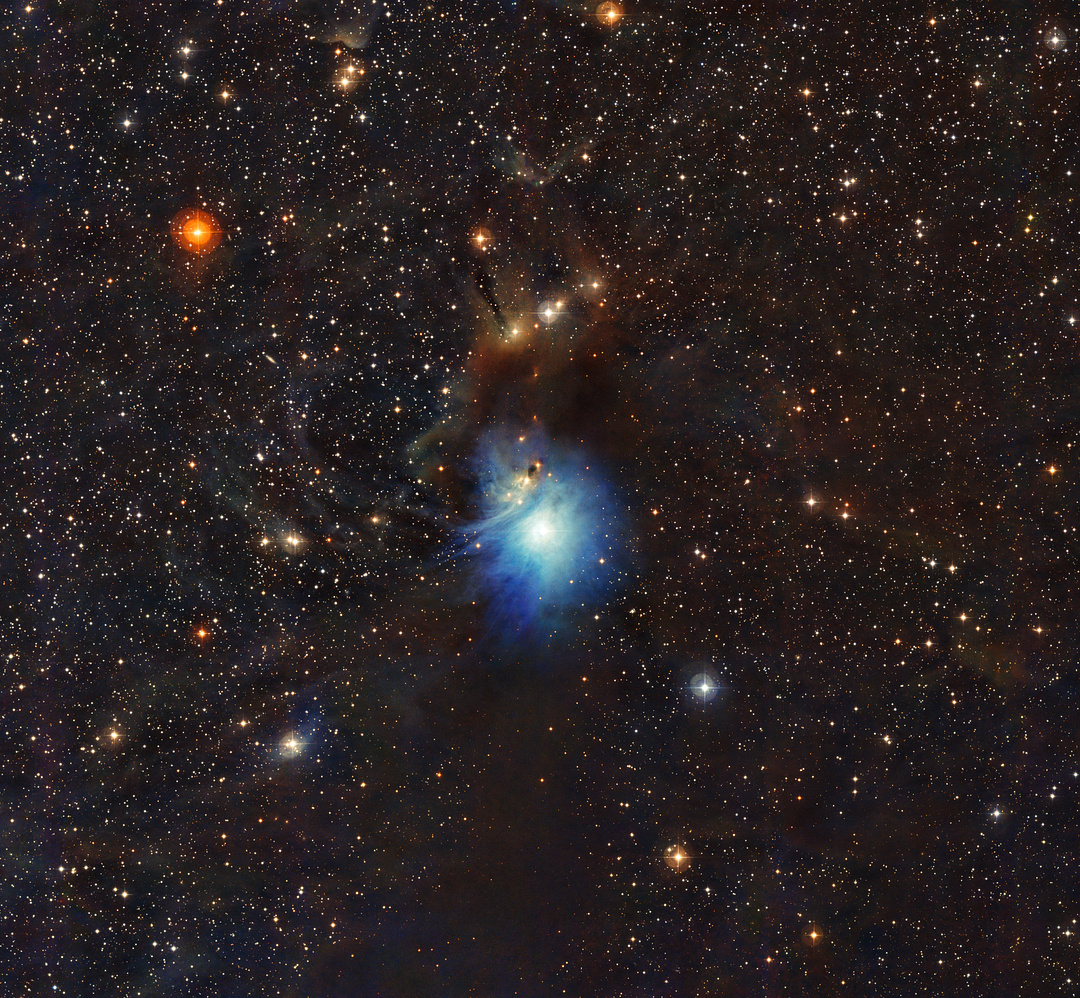 Reflection Nebula IC 2631 (ESO)