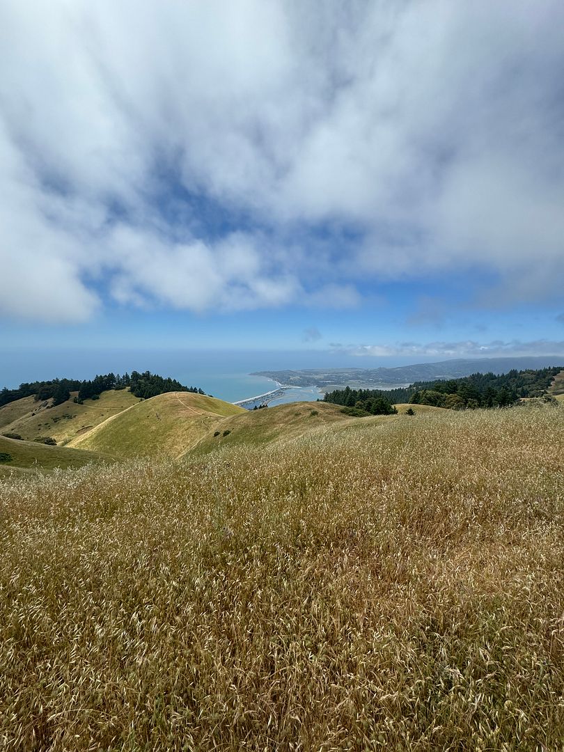 Stinson beach