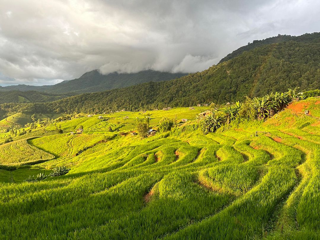 Ban Pa Pong Piang,Chiang Mai 19Enjoy