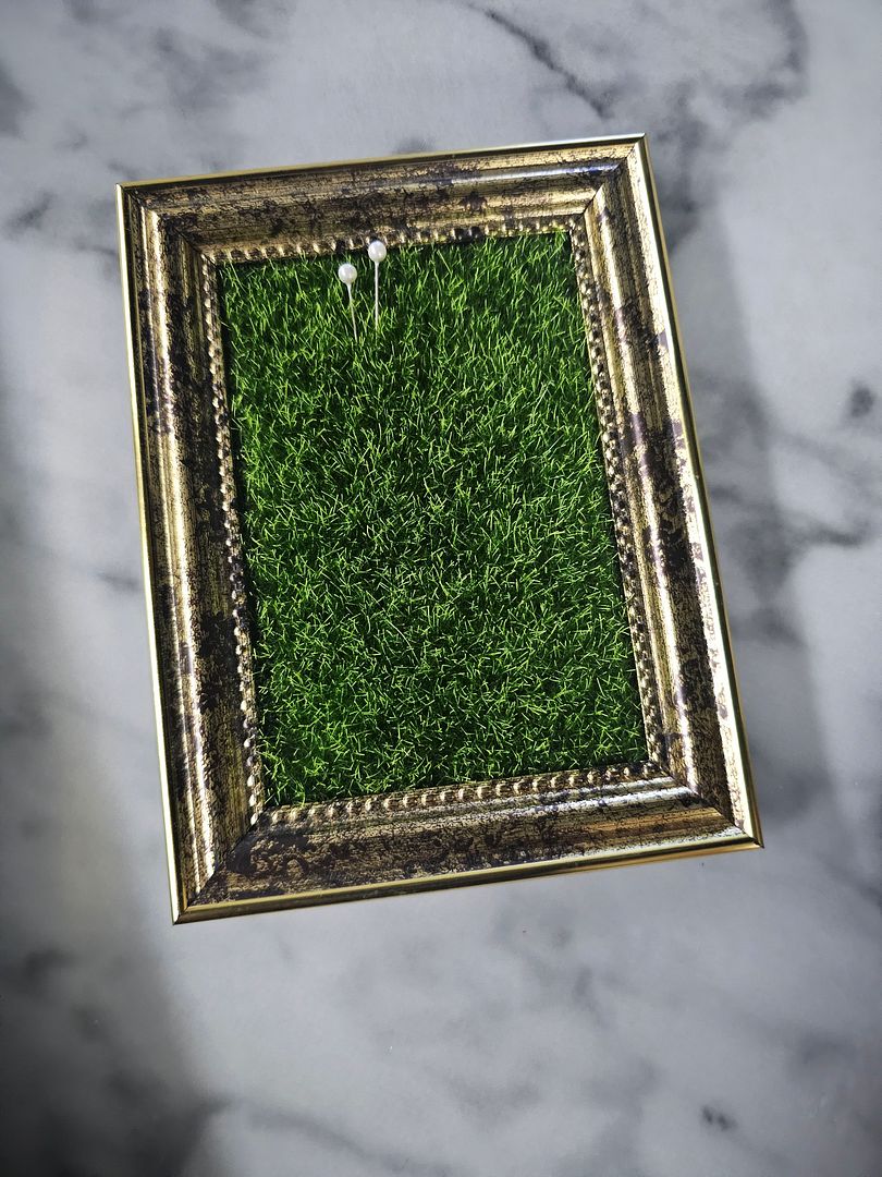 Grass in frame