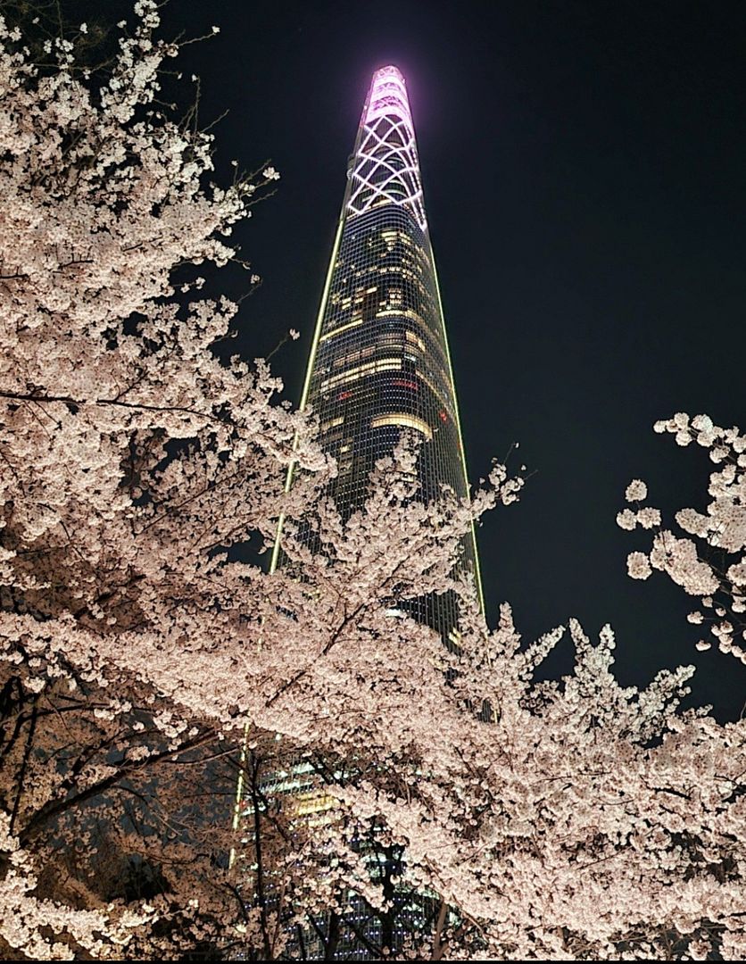 Enjoy Lotte Tower