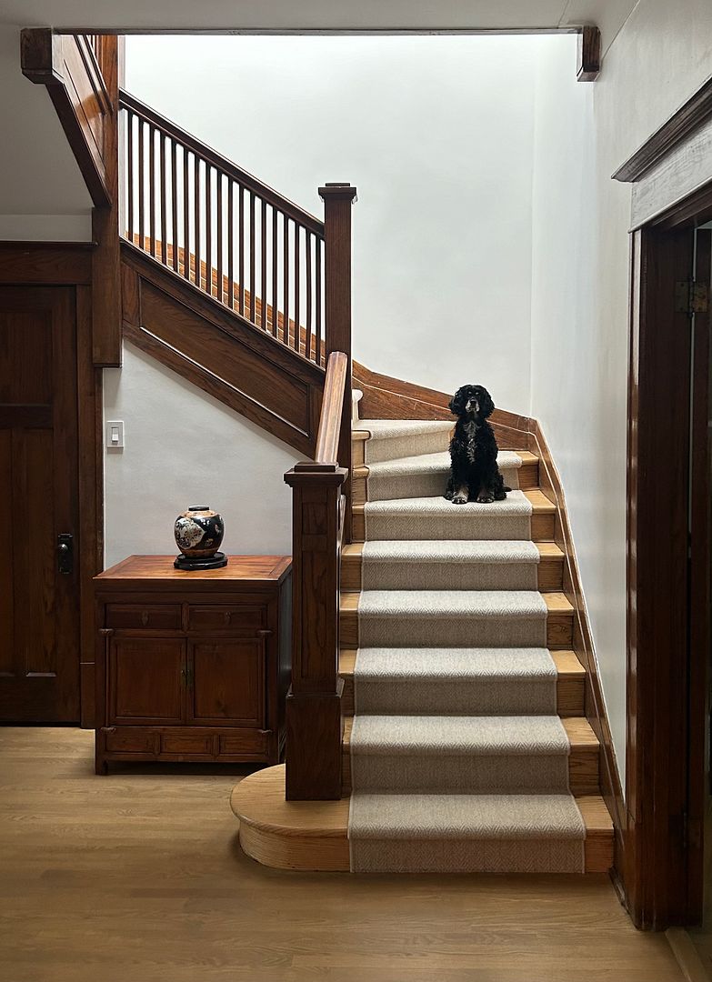 Lucy on stairs (2024)