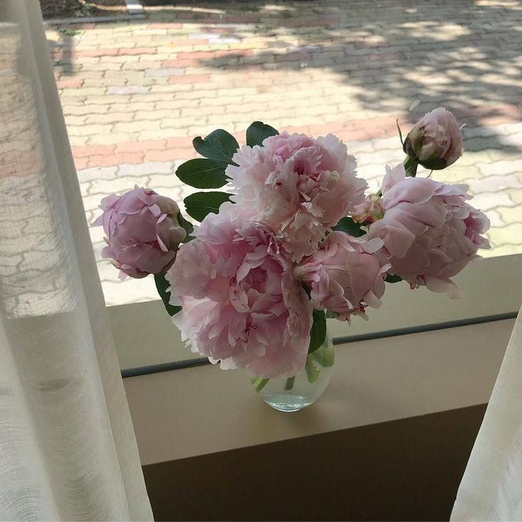 flowers in a vase