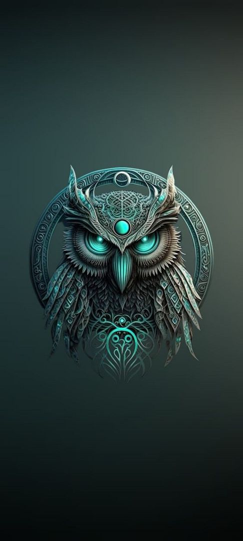 owl