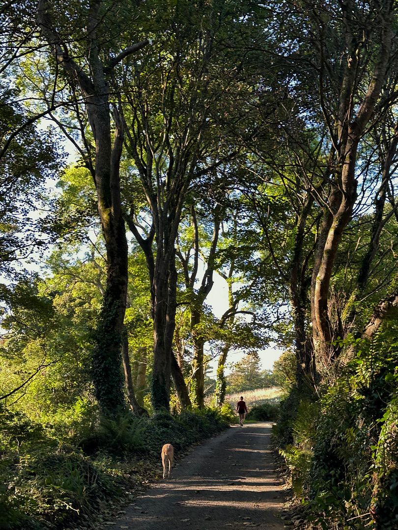 backcountry walk