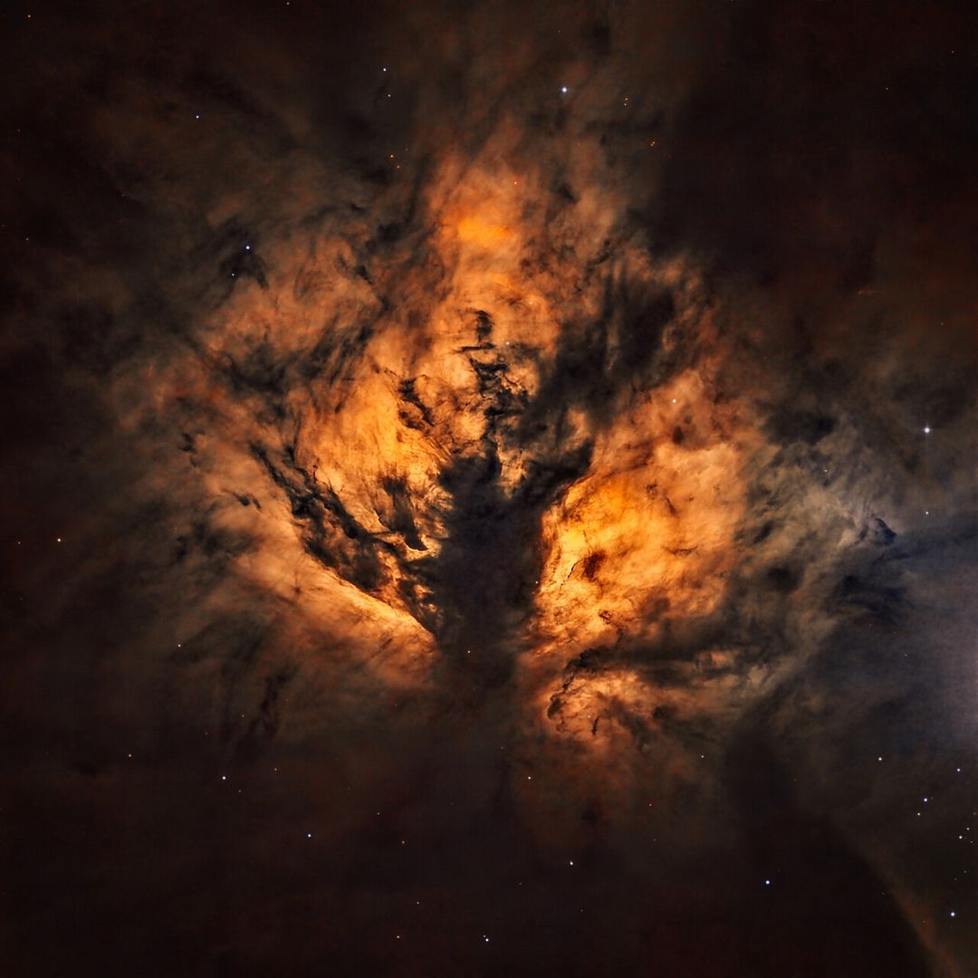 The Flame Nebula