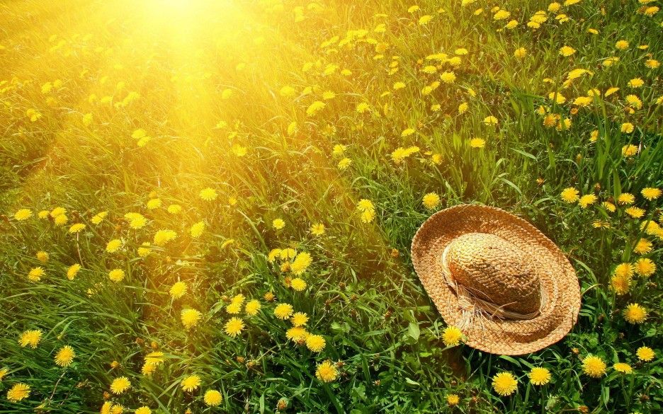 1831874-2880x1800-summer-sun-hat