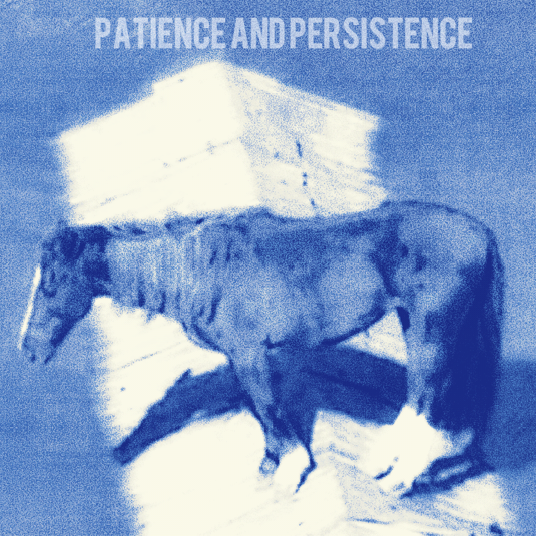 Patience and persistence