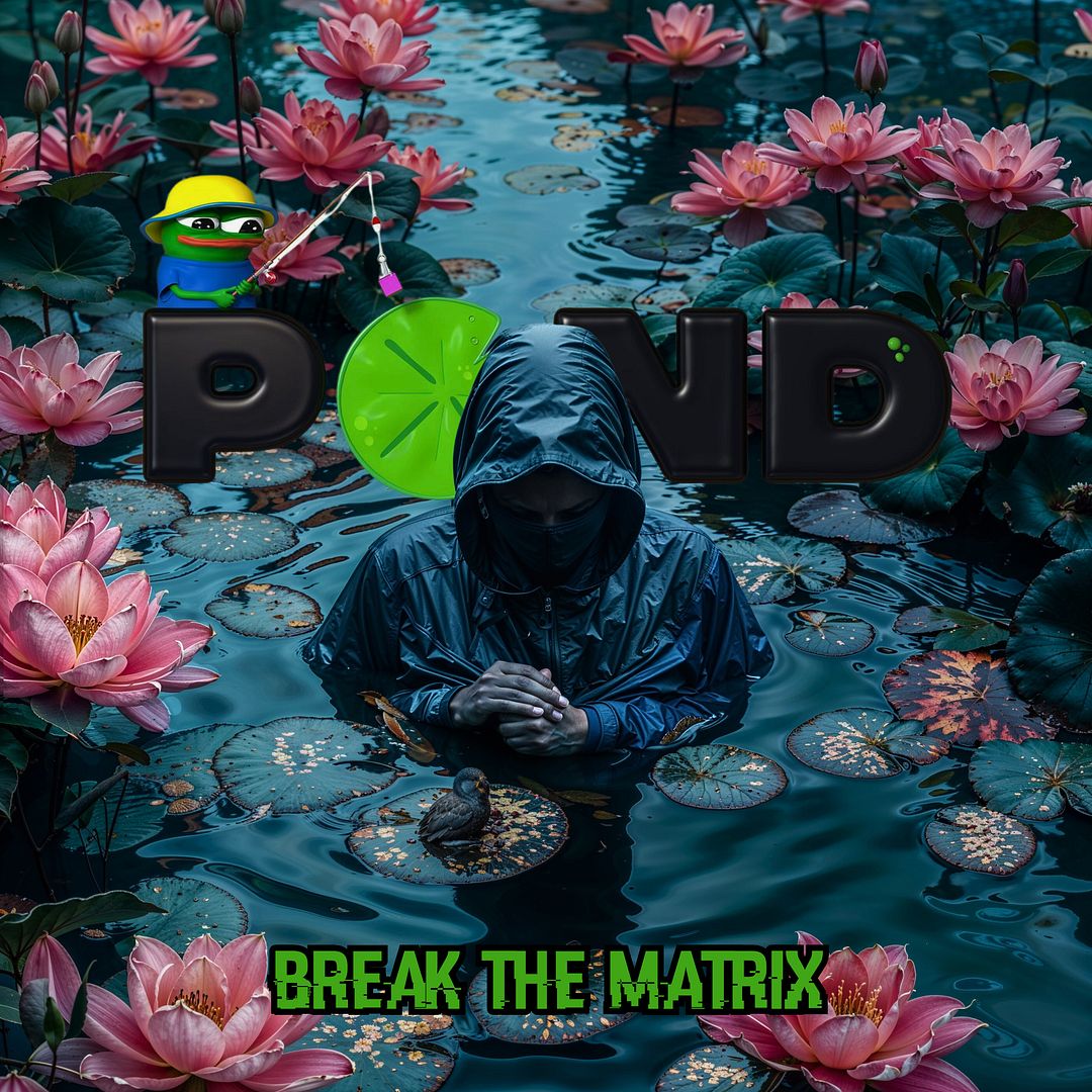 Breaking The Matrix (PNDC inspired)