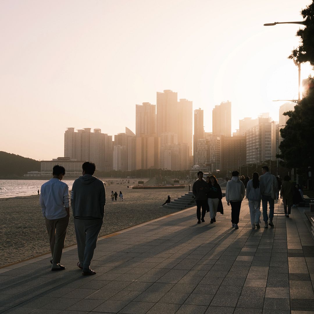 Evening in Busan