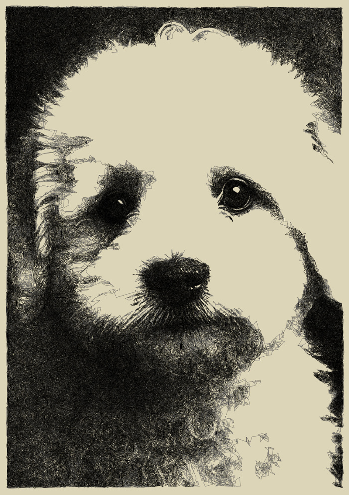 Bichon - Coding Art