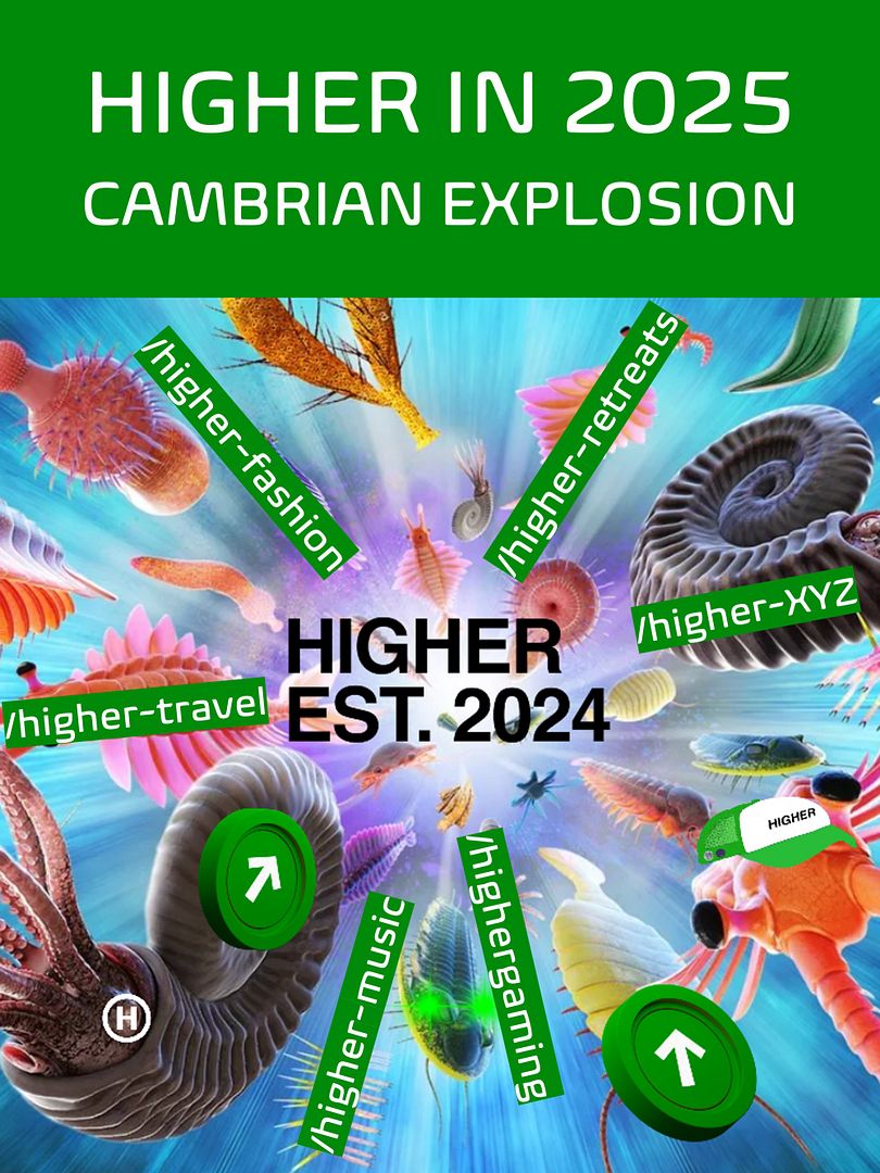 higher cambrian explosion