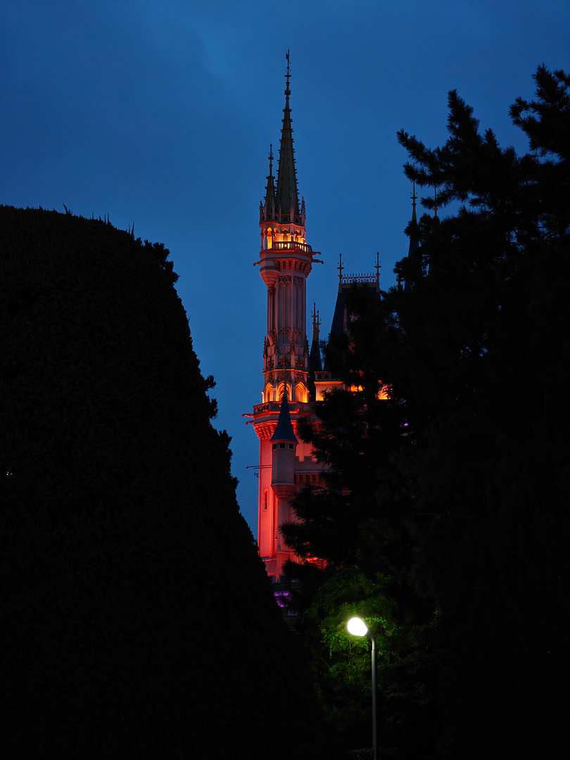 Tokyo Disney at Night