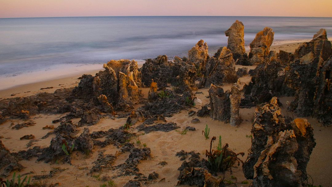 long exposure image of rock shapes on a local beach at sunrise